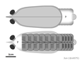 Profile Picture of Erratuson Wikipedia