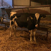 Profile Picture of Jonathan Marrs Farm Life (@jonathanmarrsfarmlife3037) on Youtube