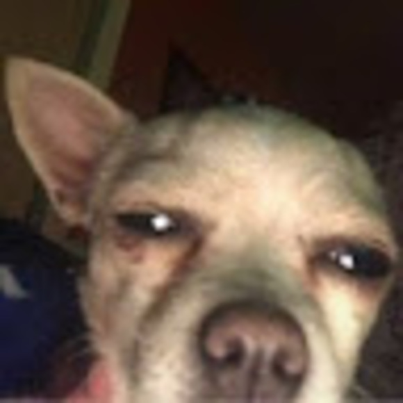 Profile Picture of Kevin Marin (@marinkevin163) on Poshmark