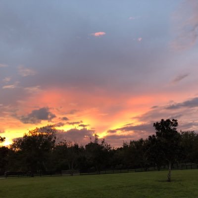 Profile Picture of Vicki Salter (@DVickiSalter) on Twitter