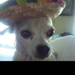 Profile Picture of cliff hamm (@hamm_cliff) on Instagram