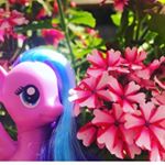 Profile Picture of Gabriella Sheridan (@mlp_stop_motion__) on Instagram
