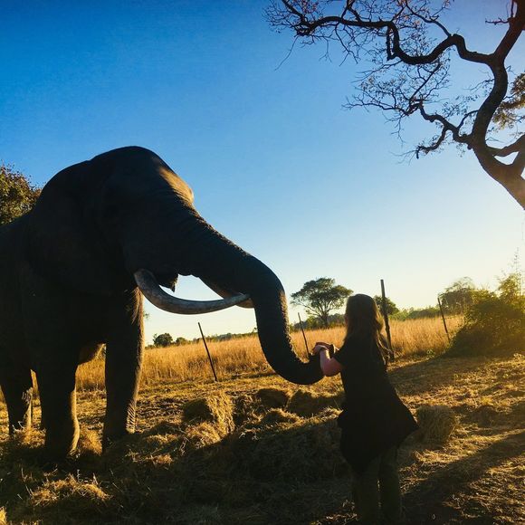 Profile Picture of Lara Sullivan (@lara_sullivan) on Poshmark