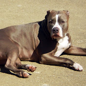 Profile Picture of Maria Claudine Lee-Cates (@mariaclaudinelee-cates5297) on Youtube