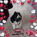 Profile Picture of Shirley Morrissey (@shirley.morrissey.549) on Facebook