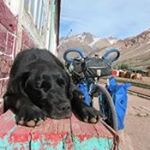 Profile Picture of Tracy clifford (@tracycliff89) on Instagram