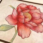 Profile Picture of Sarah Pyon // Ceramics & Art (@ceramics_by_sarah) on Instagram
