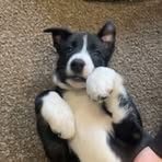 Profile Picture of Andrew Cochrane (@Andrew-Cochrane) on Facebook