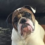 Profile Picture of Michael Fejes (@michael_fejes_) on Instagram