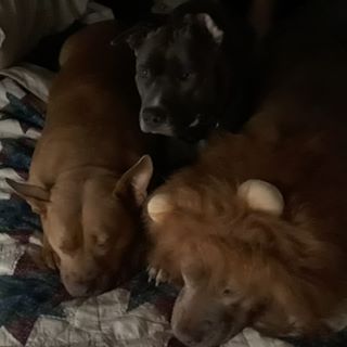 Profile Picture of Beverly Fritchsnider (@beverly.fritchsnider) on Facebook