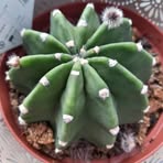 Profile Picture of Daniel Volkmann (@Daniel-Volkmann) on Facebook