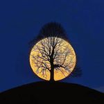 Profile Picture of افسانه کریمی (@_afsaneh_karimi) on Instagram