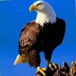 Profile Picture of Akinrinmade Joel (@joelakinrinmade) on Instagram