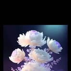 Peter Meloz - Facebook Profile Picture of Peter Meloz (@Peter-Meloz) on Facebook