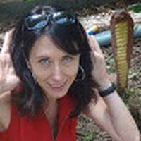 Profile Picture of Nancy Ostrowski (@nancy-ostrowski-3) on Quora