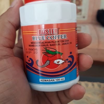 Profile Picture of ARIEL NOYES (@ariel_noyes) on Twitter