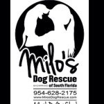 Profile Picture of Stacy Billingslea (@milosrescue) on Instagram