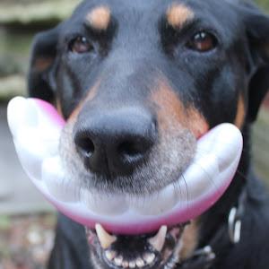 Profile Picture of Andrew Milliken667 (@andrewmilliken) on Tiktok