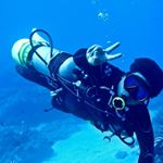 Profile Picture of Randy  Yang (@randy_dive) on Instagram