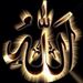 Profile Picture of As Chahdi (@asmaew) on Pinterest
