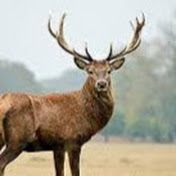 Profile Picture of Connor Carr (@connorcarr9822) on Youtube