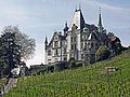 Profile Picture of Meggenhorn Castleon Wikipedia
