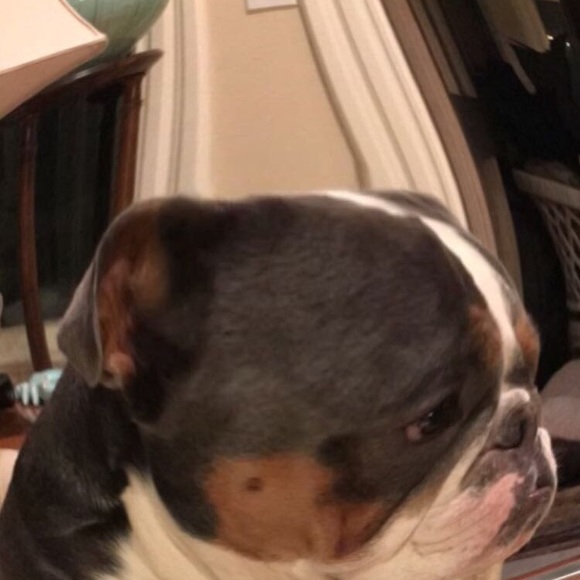 Profile Picture of Nicholas Condon (@condonnick) on Poshmark