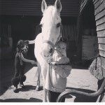 Profile Picture of Bobbie Ramsey (@onlymyponyandfriends) on Instagram
