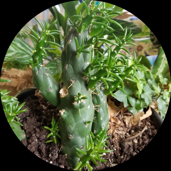 Profile Picture of Matt Dalton (@callmedalton) on Poshmark