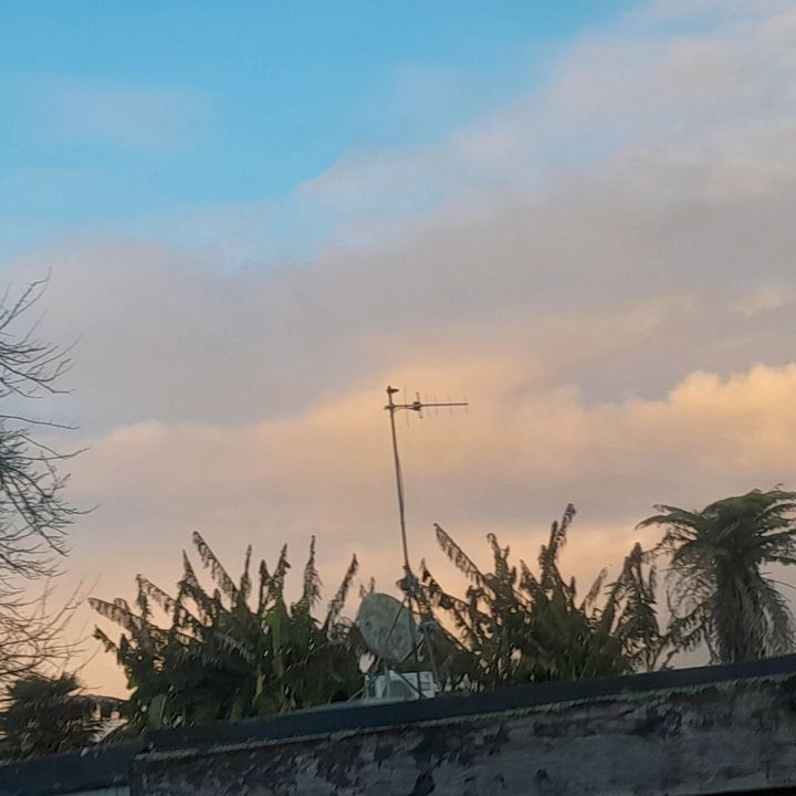 Profile Picture of QLD🔛🔝 (@ebonniejenkins5) on Tiktok