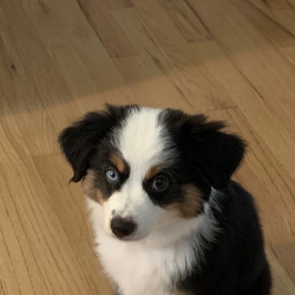 Profile Picture of Susan Hochstatter (@susanhochs) on Poshmark