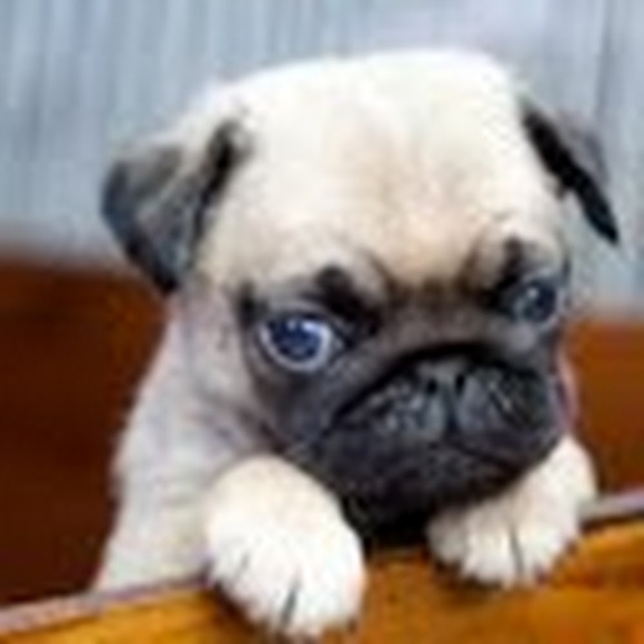 Profile Picture of Marilyn Hernandez- miguel (@111007232) on Poshmark