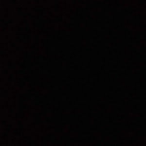 Profile Picture of Aaron Litkowski (@aaronlitkowski) on Tiktok