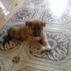 Profile Picture of Richard Larkin (@@richardlarkin1) on Tiktok