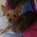 Profile Picture of Randy Partain (@Randy-Partain) on Facebook