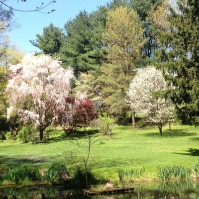 Profile Picture of Ken Krauss (@krauss_y) on Twitter