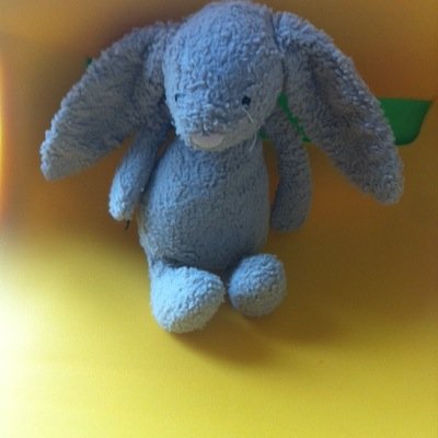 Profile Picture of Mari Bennett (@bennett_mari) on Twitter