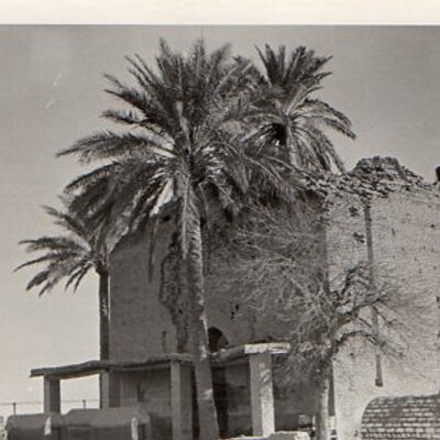 Profile Picture of Adnan Al-Daini (@maladeeb) on Twitter