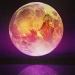 David Nachbar - Instagram Profile Picture of David Nachbar (@jerome_nachbar) on Instagram