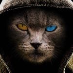 Profile Picture of Carlos venzor zenteno (@zentenocarlosvenzor) on Instagram