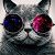 Profile Picture of Carlos Salazar (@kloss1799) on Pinterest