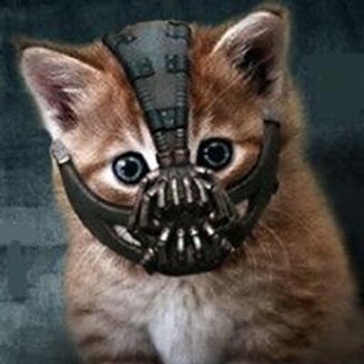 Profile Picture of Shawn Dunford (@DunfordShawn) on Twitter