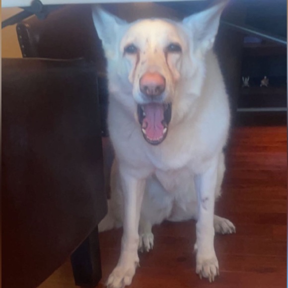 Profile Picture of Ian Lakey (@23imlakey) on Poshmark