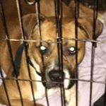 Profile Picture of Kieran Barnes (@kieran.barnes.9887) on Instagram