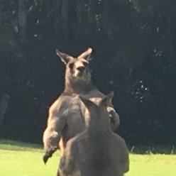 Profile Picture of Richard Newell (@rakmjn1) on Twitter