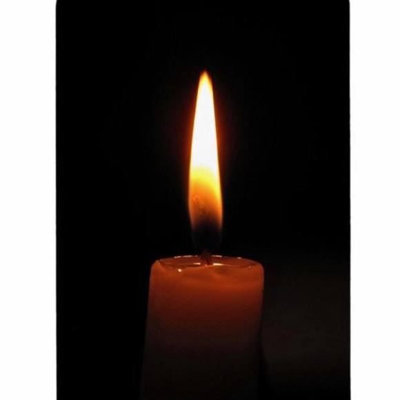 Profile Picture of Tess Ramilo (@tess1067) on Poshmark