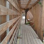 Profile Picture of Jean-francois Berthaud (@jeanfrancoisberthaud) on Instagram