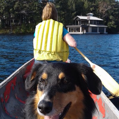 Profile Picture of Jan Atchison (@AtchisonJan) on Twitter