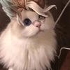 Profile Picture of Chris burt nerf (@chrisaintsimplevel999) on Tiktok
