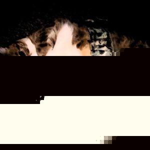 Profile Picture of Cachino Gato (@keeprighttheband) on Myspace
